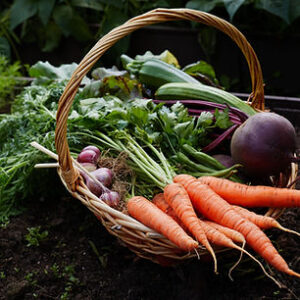 Classic Basket